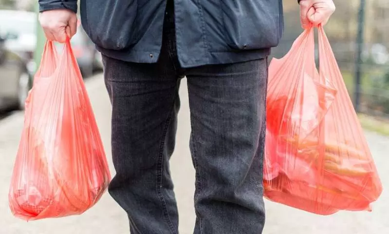 Germany bans single-use plastic straws, food containers Germany bans single-use plastic straws, food containers