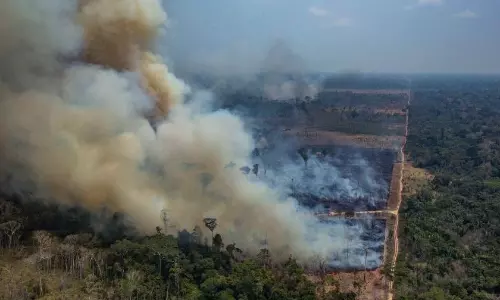 Big increase recorded in Amazon fires