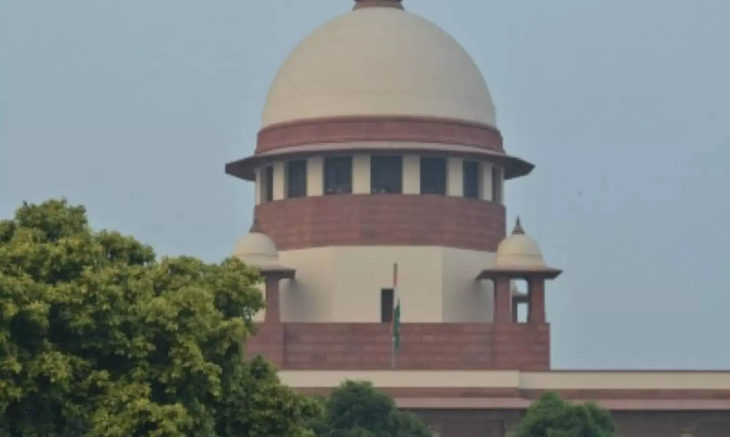 Pay special attention to provide essentials to elderly: SC