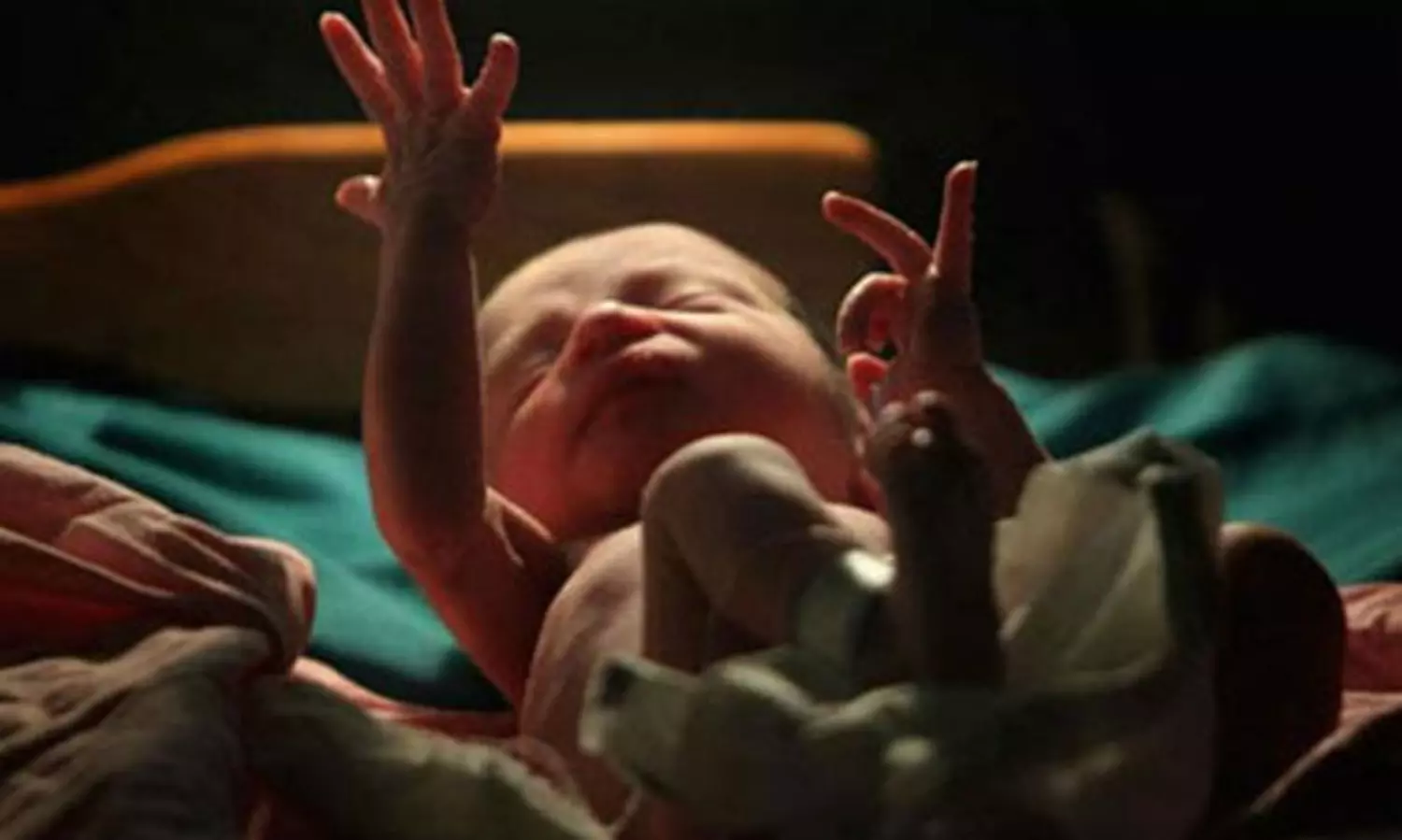 Gurugram health dept busts sex-determination racket in Jhajjar