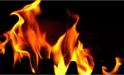 3 dead in fire at hotel turned Covid care centre in Andhra
