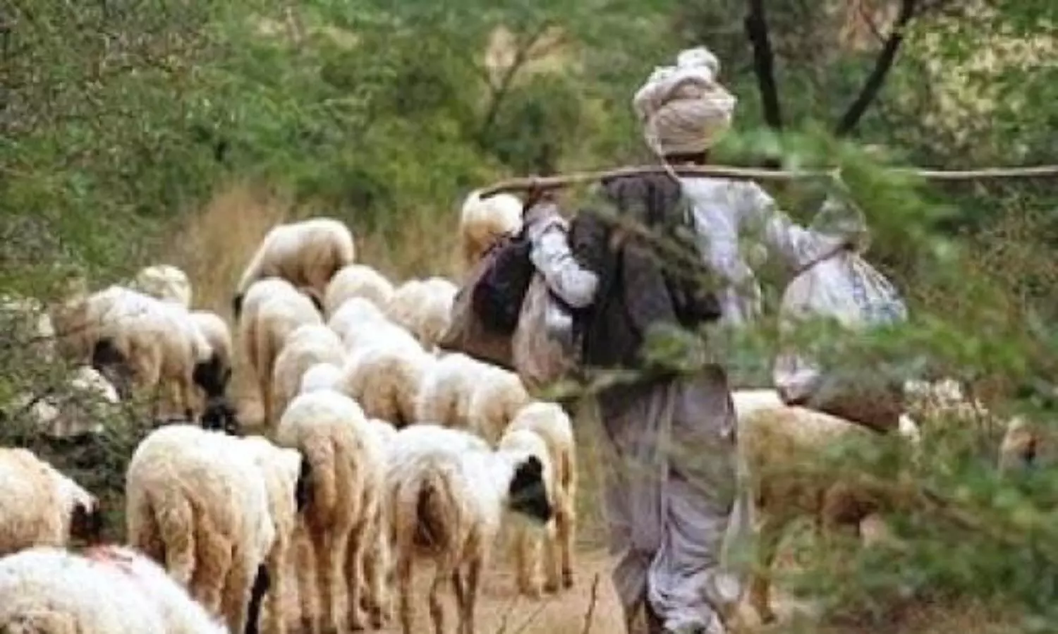 Karnataka shepherd, marooned five days on river island, rescued