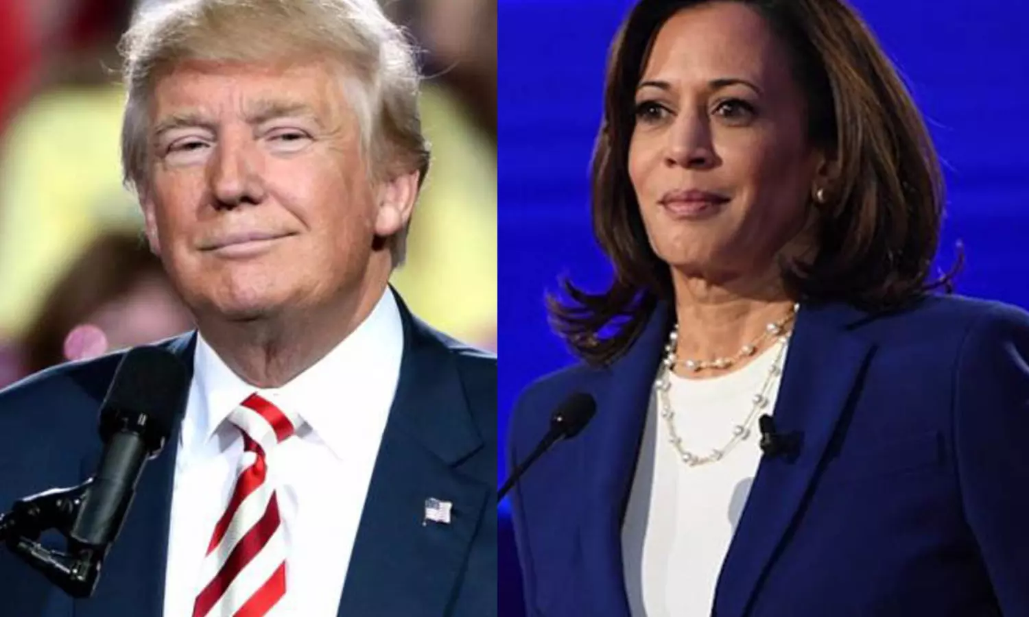 Trump campaign dubs Harris as morally and intellectually bankrupt