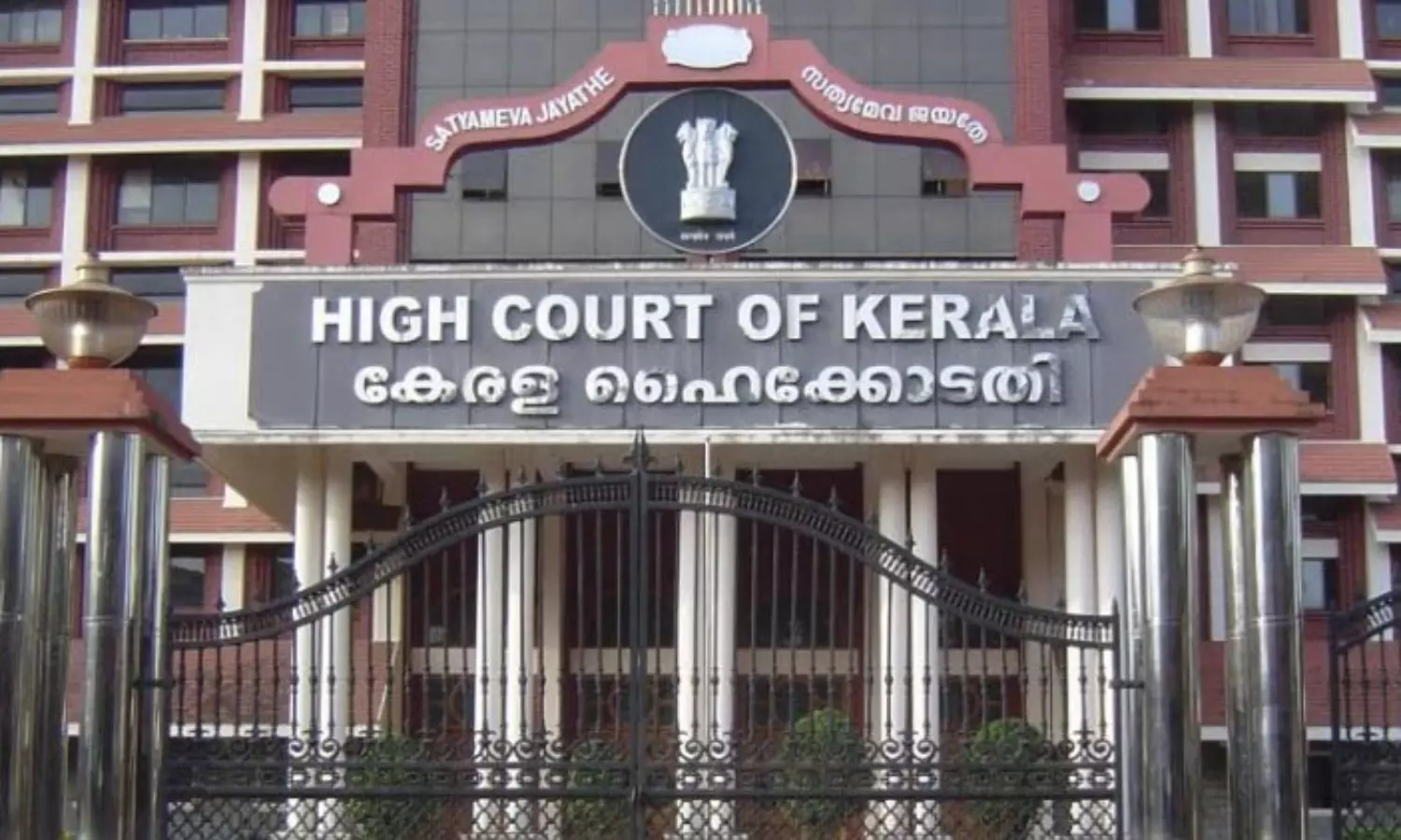 Do not use Homeo drugs for COVID-19 treatment, Kerala HC