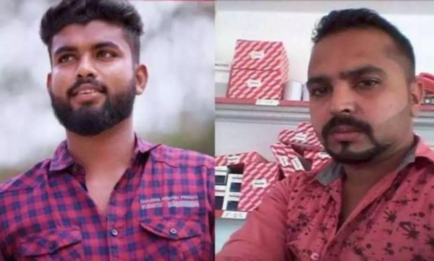 Nefarious political model