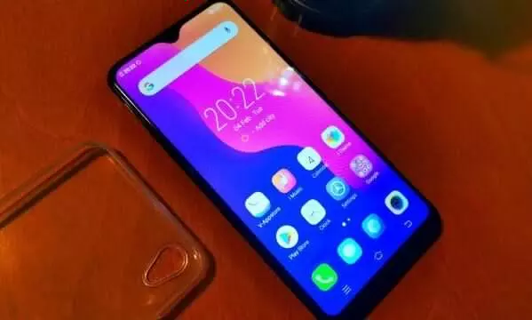 VIVO