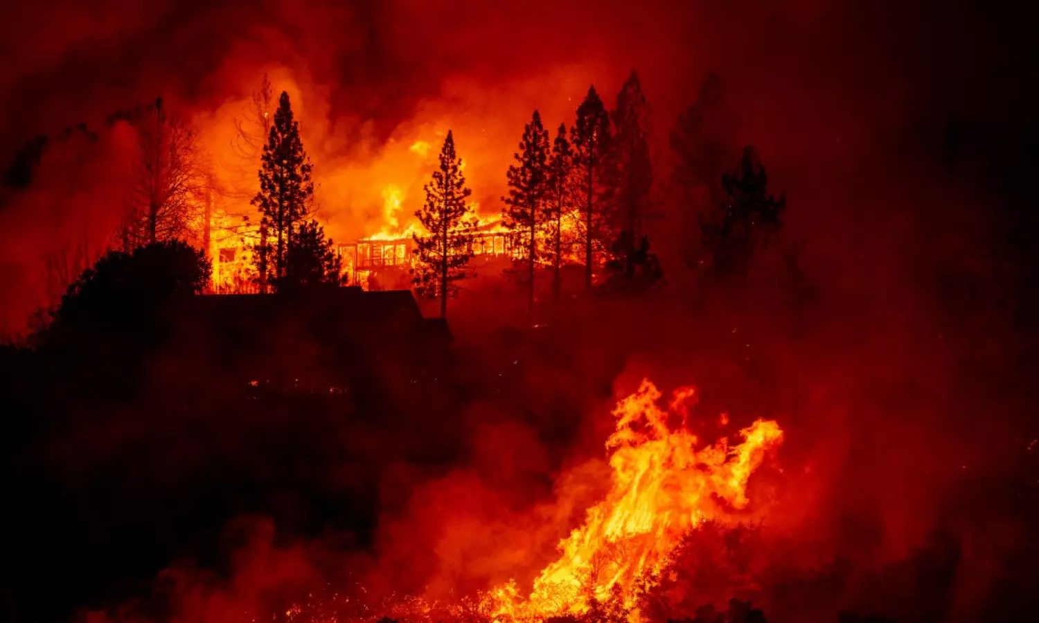 Scorched earth: Record 2 million acres burned in California