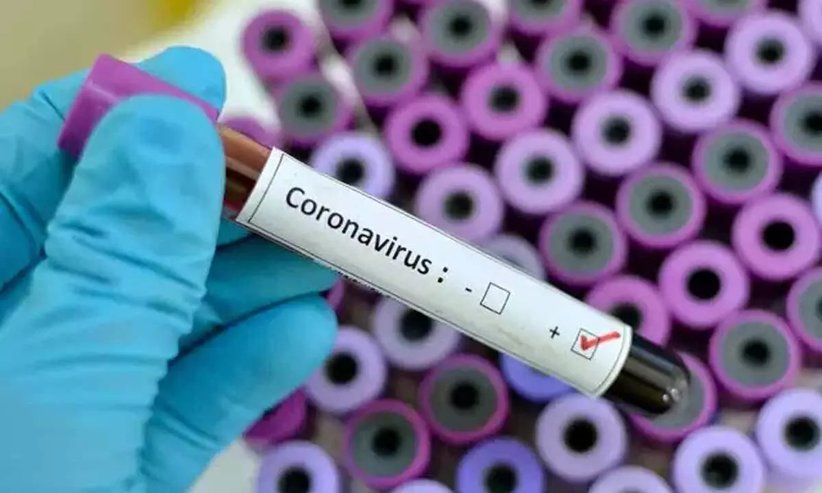 Kerala records 5,445 new Covid cases, 7,003 cured