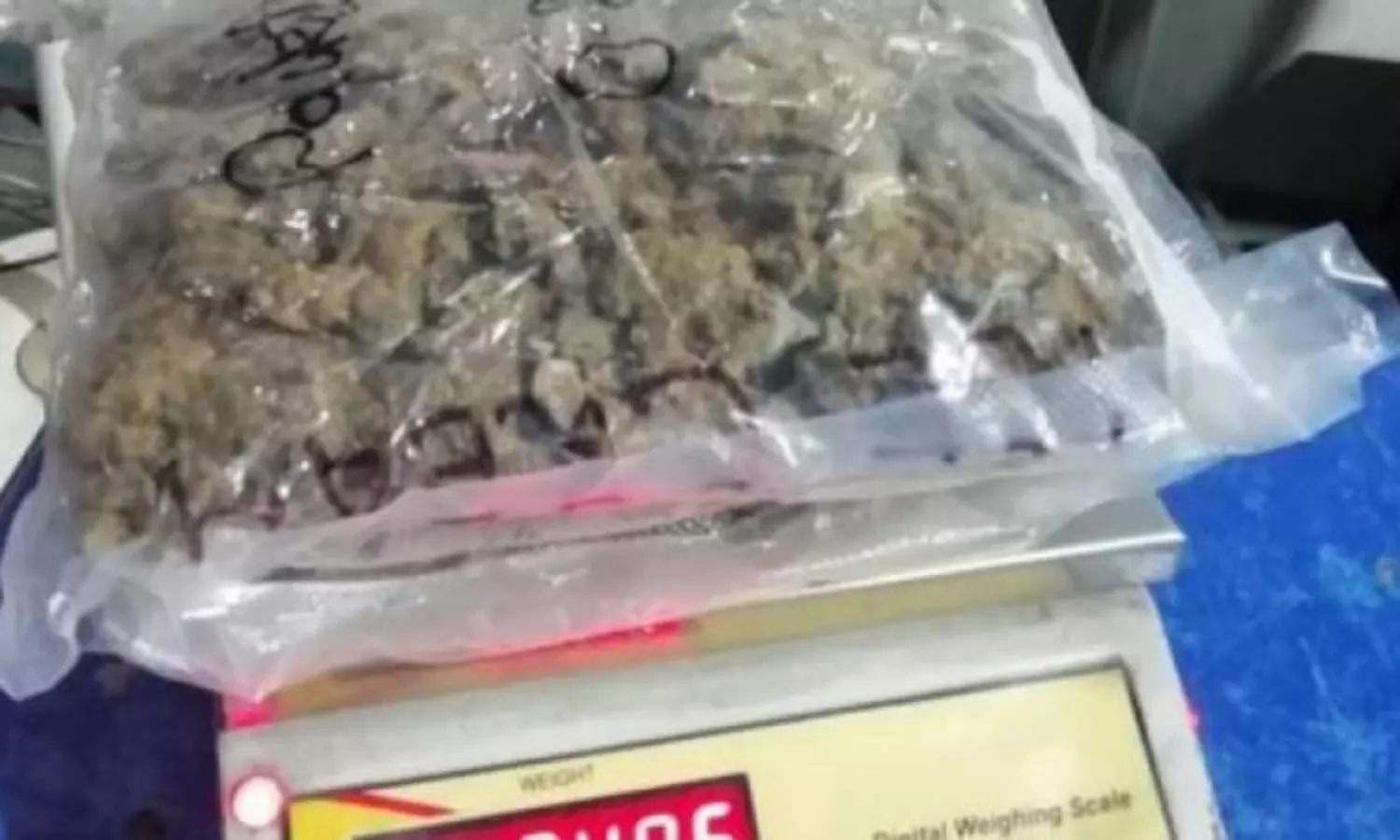 1,350 kg of cannabis seized, 4 arrested