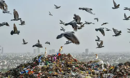 Garbage piles up in Agra as 44 more test corona positive