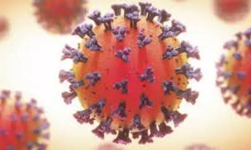 48,253 tested; 8764 turn Covid positive in Kerala