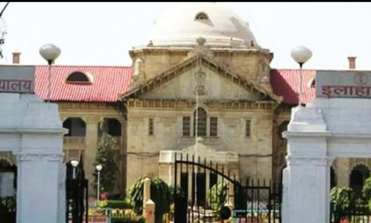 Allahabad HC slams UP govt over misuse of cow slaughter act