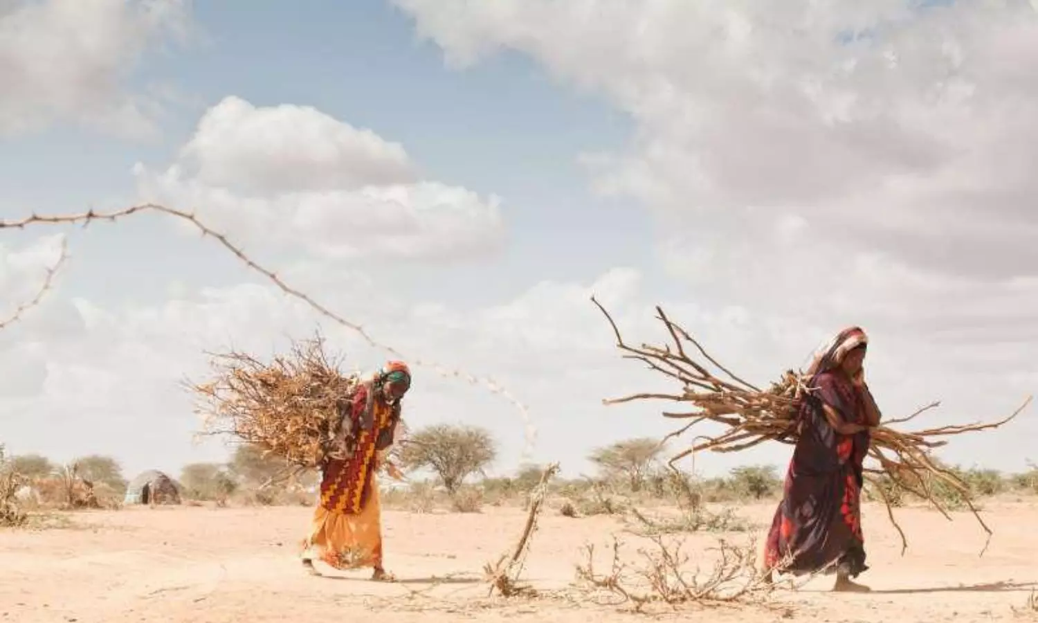 UN report says climate change puts Africa at stake