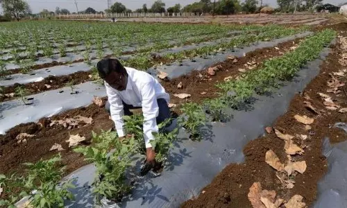 Assam to utilise Israeli technologies to boost agriculture