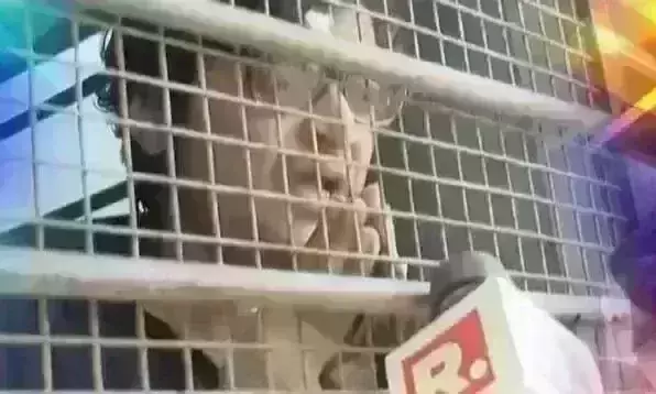 SC asks HCs to uphold personal liberty while granting bail to Arnab Goswami