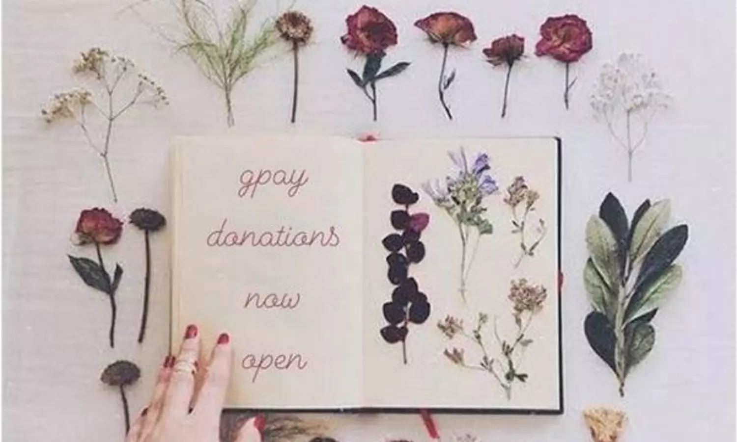 Spread the Love campaign by LSR students to help peers with financial aid after Aishwarya Reddys suicide