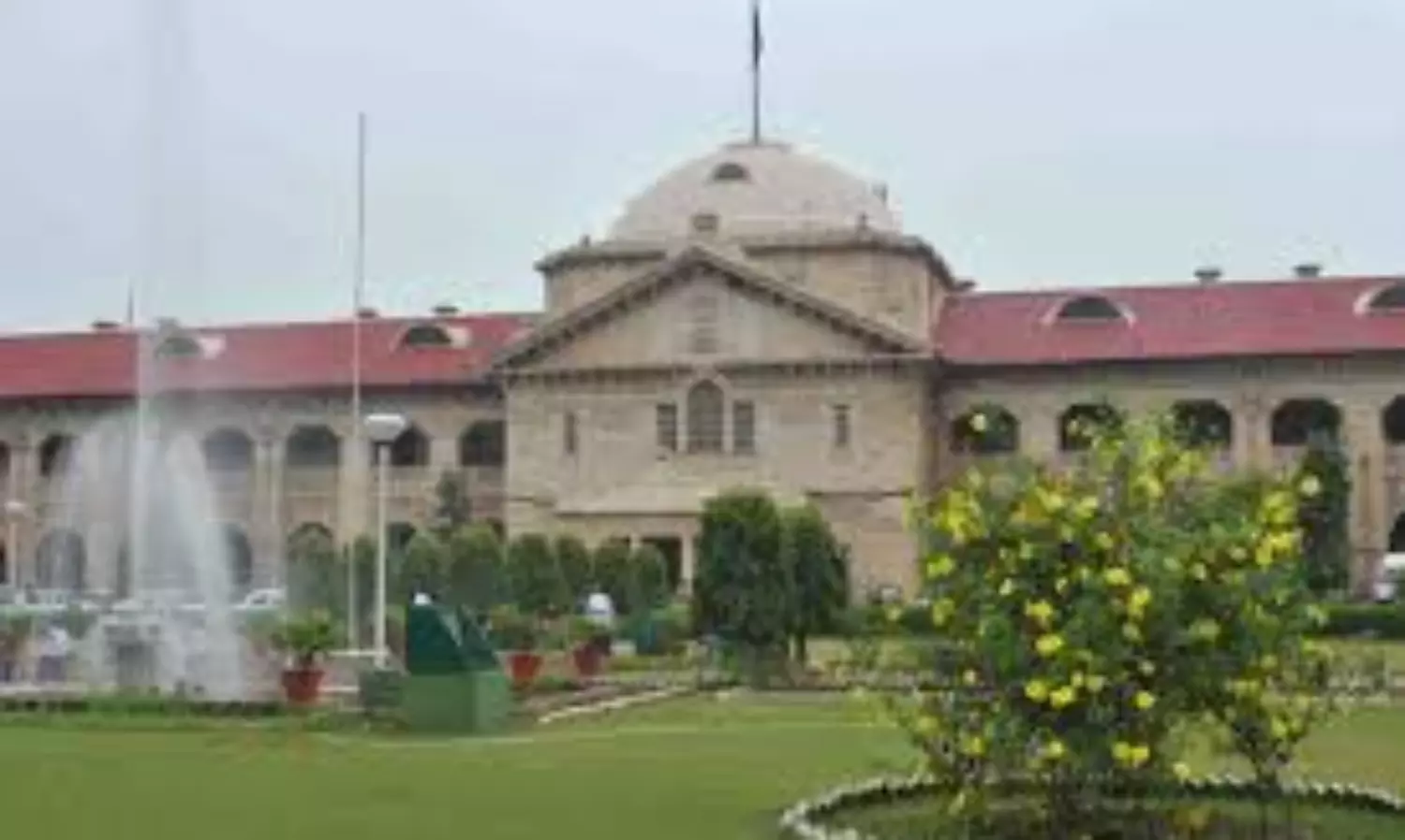 Right to choose a partner is part of Article 21, says Allahabad HC