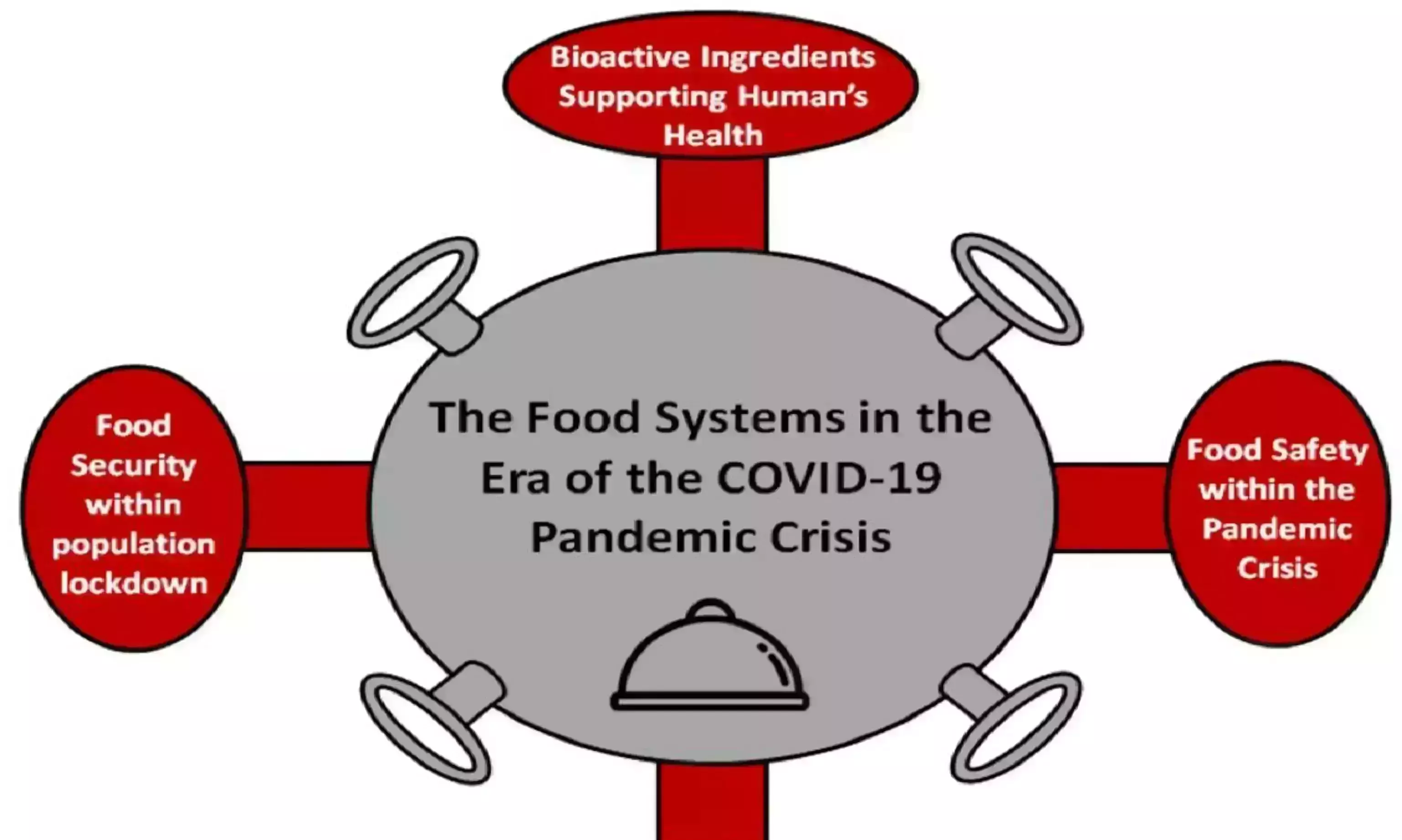 Need to prioritise on food security and humanitarian needs,  experts tell UN