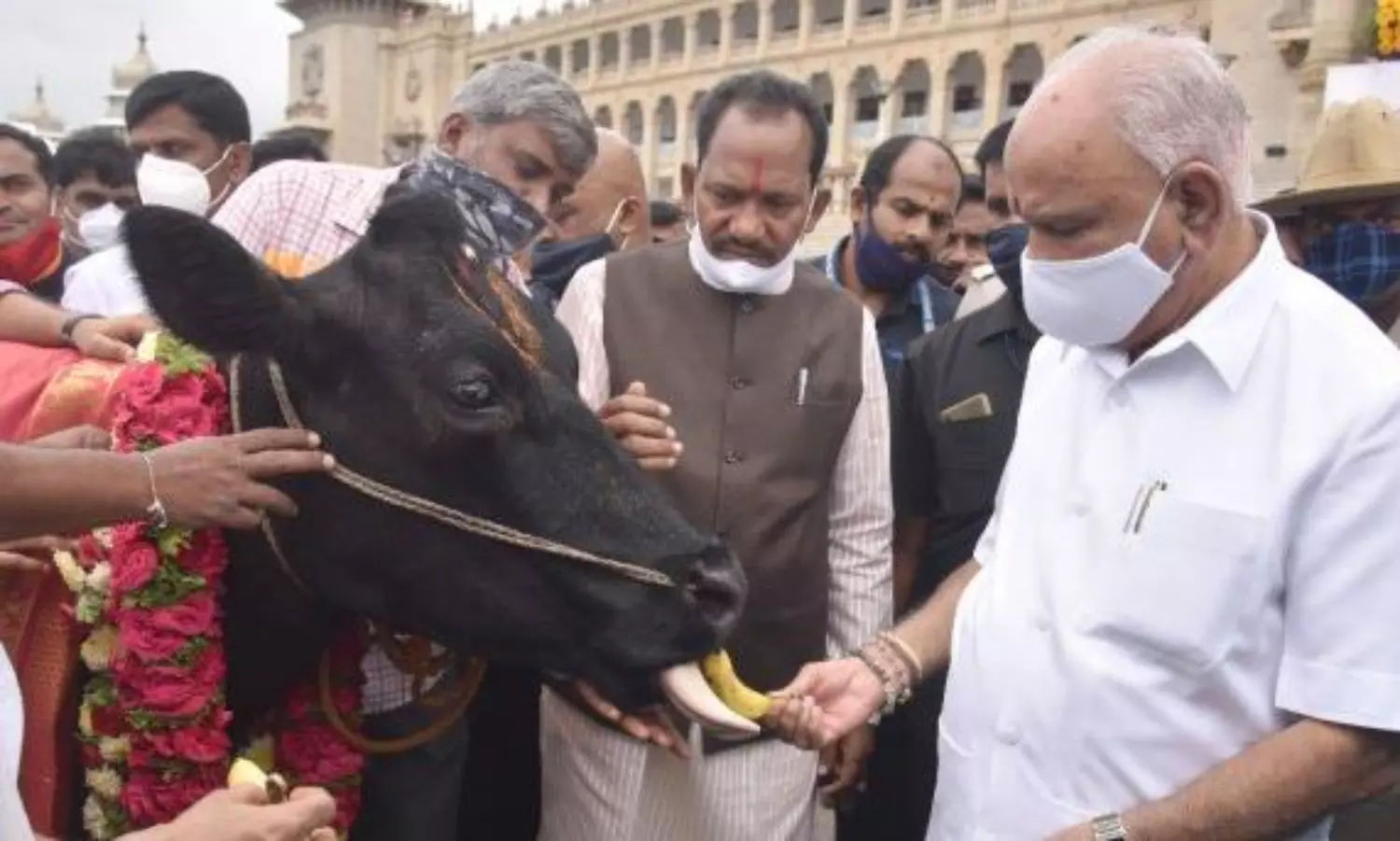 Karnataka anti-Cow slaughter Bill slated to be law