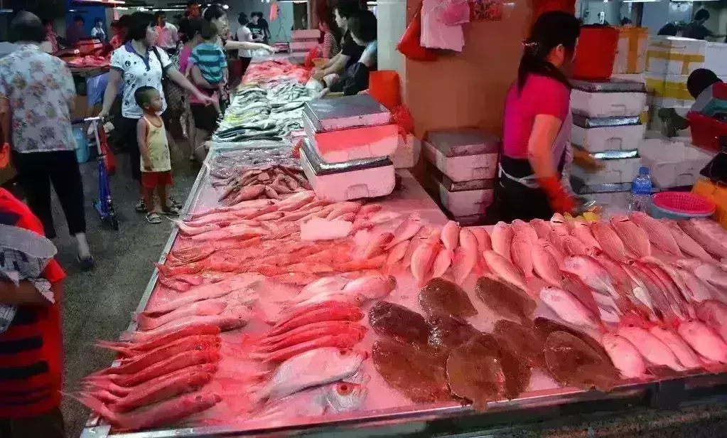 WHO will investigate Covid-19 origins in Wuhan