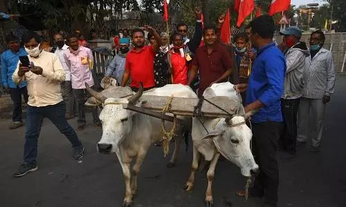 Farmers continues sit-in for 5th day awaiting police permission to enter Delhi Farmers continues sit-in for 5th day awaiting police permission to enter Delhi