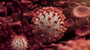 Coronavirus: 6,334 people test positive in Kerala on Thursday