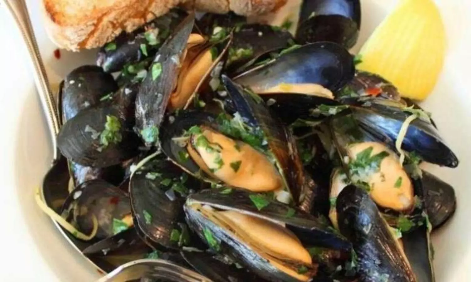 Highest levels of microplastics found in molluscs, a new study reveals