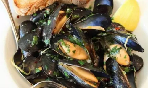 Highest levels of microplastics found in molluscs, a new study reveals