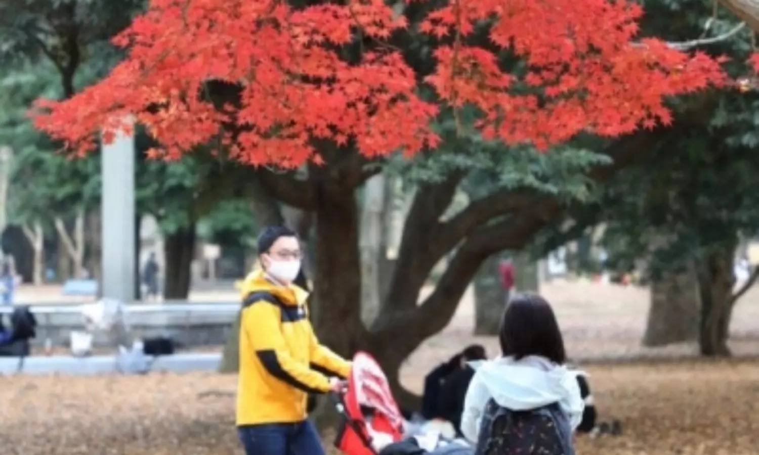 Japan considers another state of emergency over Covid 19