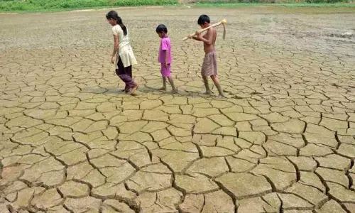 2020 was the 8th warmest year since 1901, says CRS report