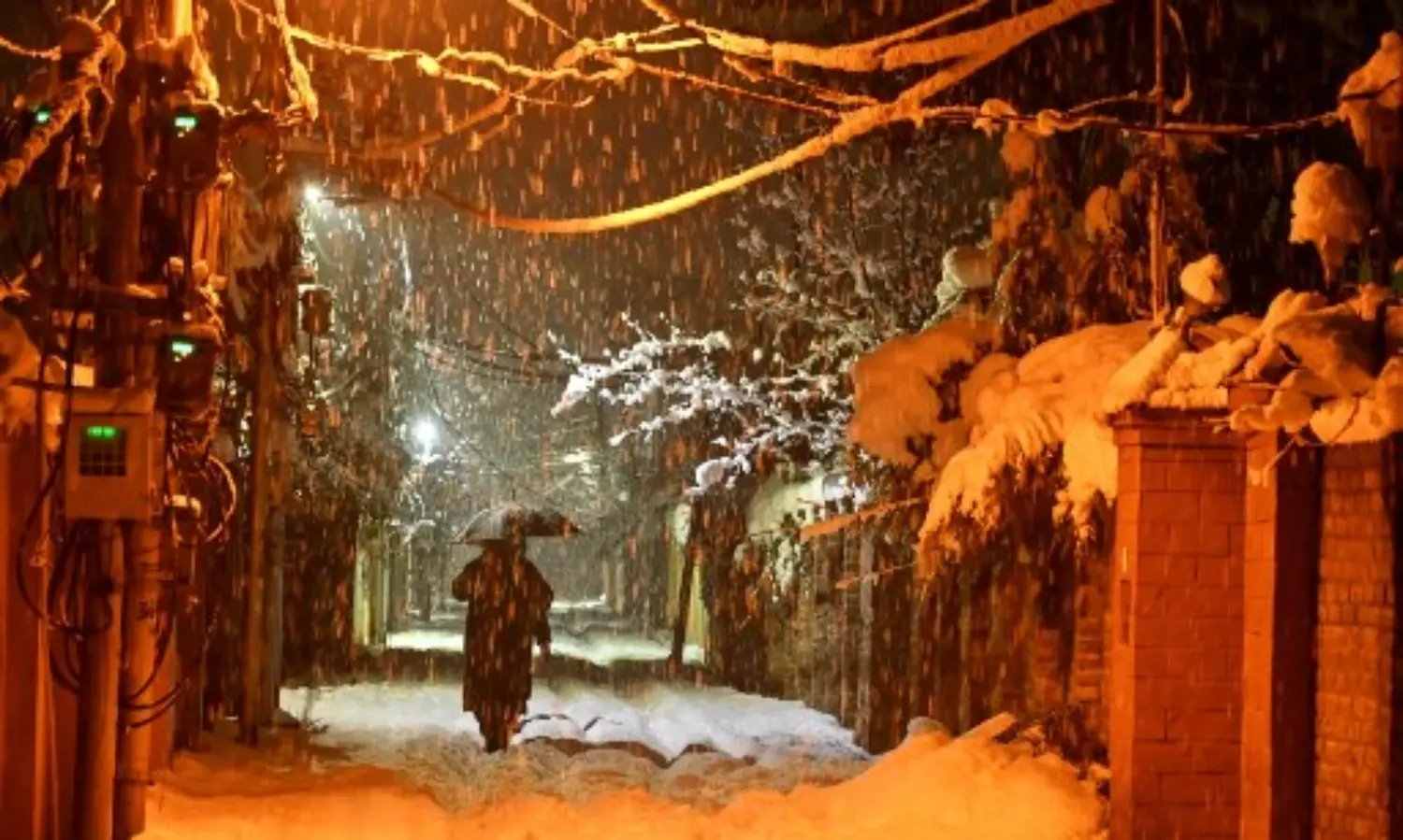 India lodges strong protest with WHO over map showing J&K as separate