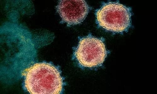 No Covid-19 fatalities in 15 states, UTs in the last 24 hours: Government