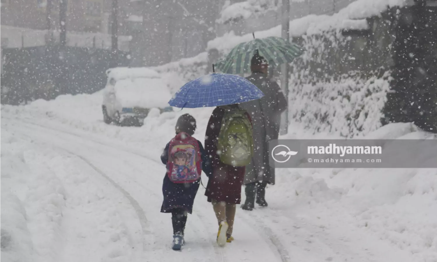 Kashmir receives a fresh spell of snowfall [In Gallery]