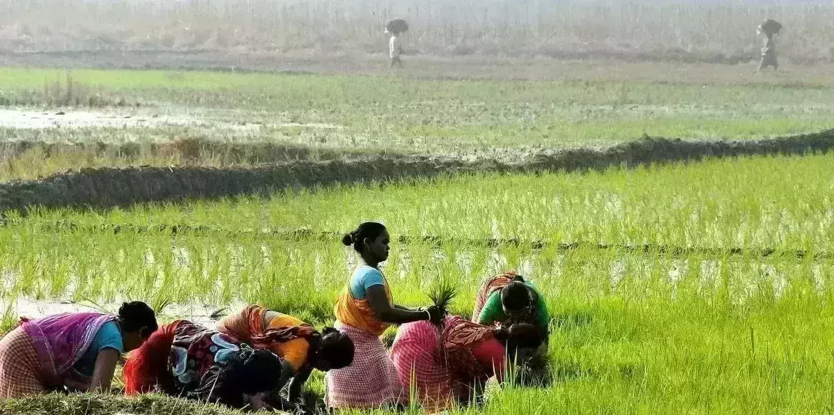 PM-Kisan scheme: over 11.2 lakh failed transactions in lockdown period, RTI reveals