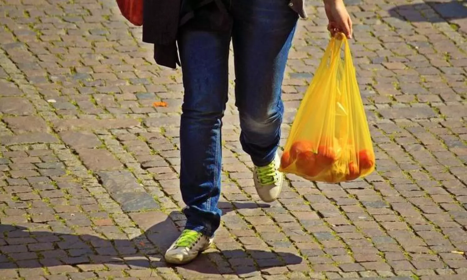 Seagrass clears plastic in oceans, says study