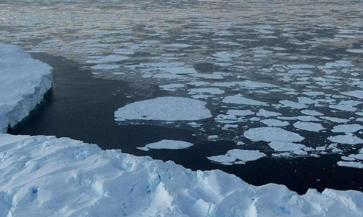 UNDP poll finds climate change as global emergency
