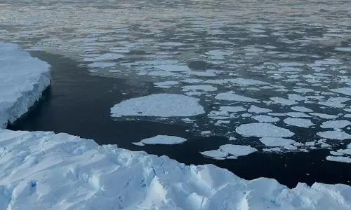UNDP poll finds climate change as global emergency