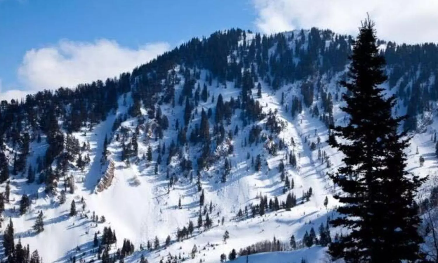 4 skiers found dead after avalanche in Colorado