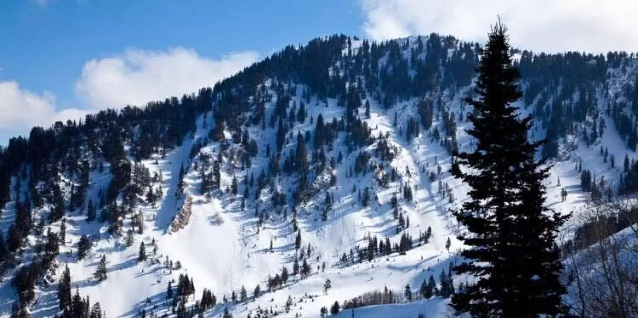 4 skiers found dead after avalanche in Colorado