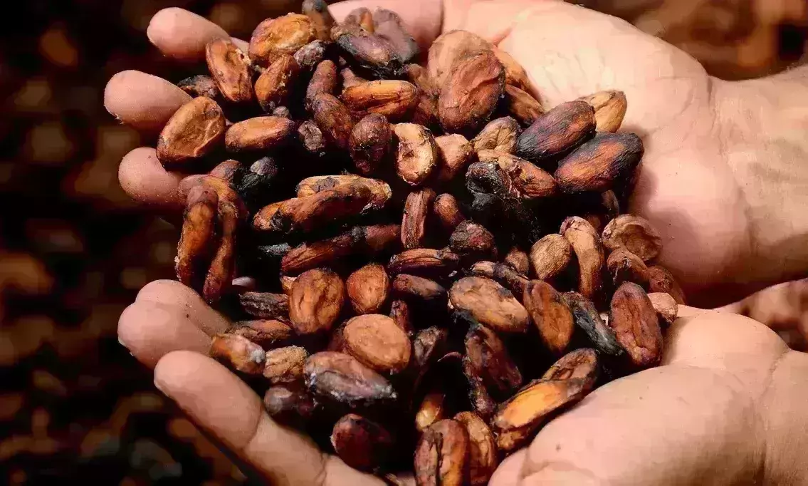 Nestle, Mars, Hershey named in lawsuit over child slavery