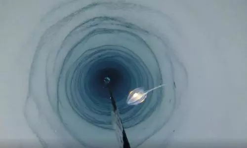 Discovery of strange creatures under an ice shelf in Antarctica