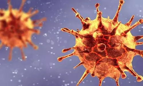 Fresh guidelines for travellers as new Covid strains surface in India