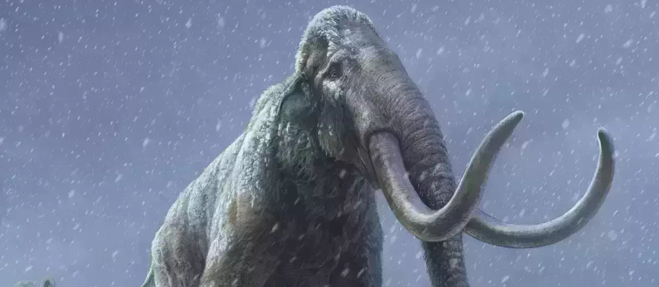 Million-year-old mammoth teeth yield worlds oldest DNA