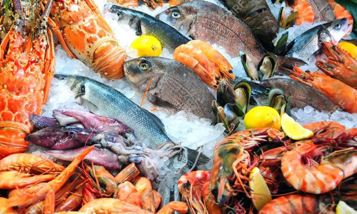 Global freshwater fish population at risk of extinction: Study