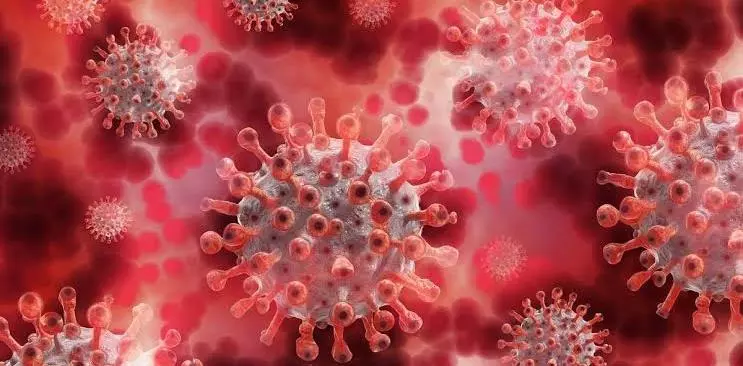 India detects over 24K mutations in 7K Covid variants