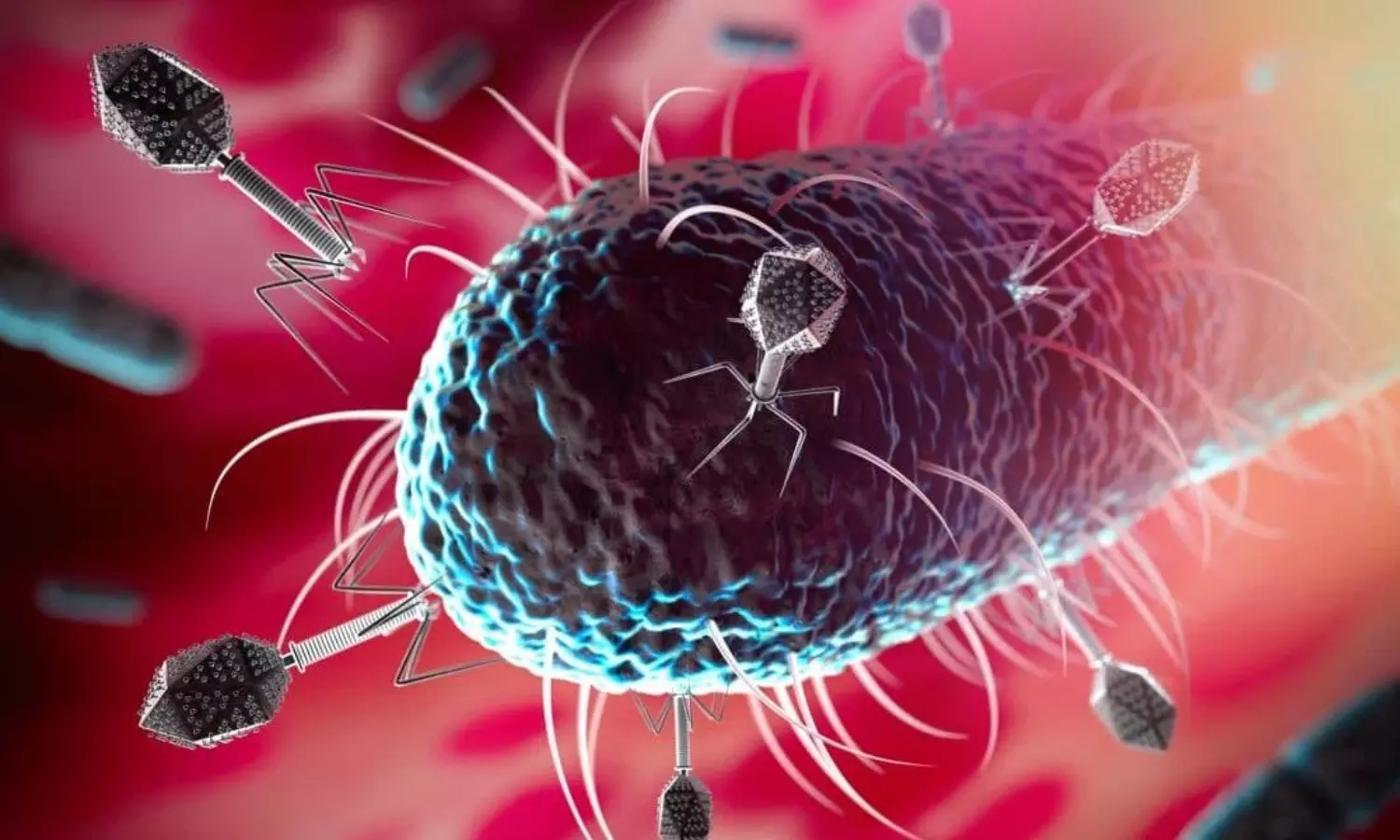 Scientists identify more than 140000 new virus species in the gut