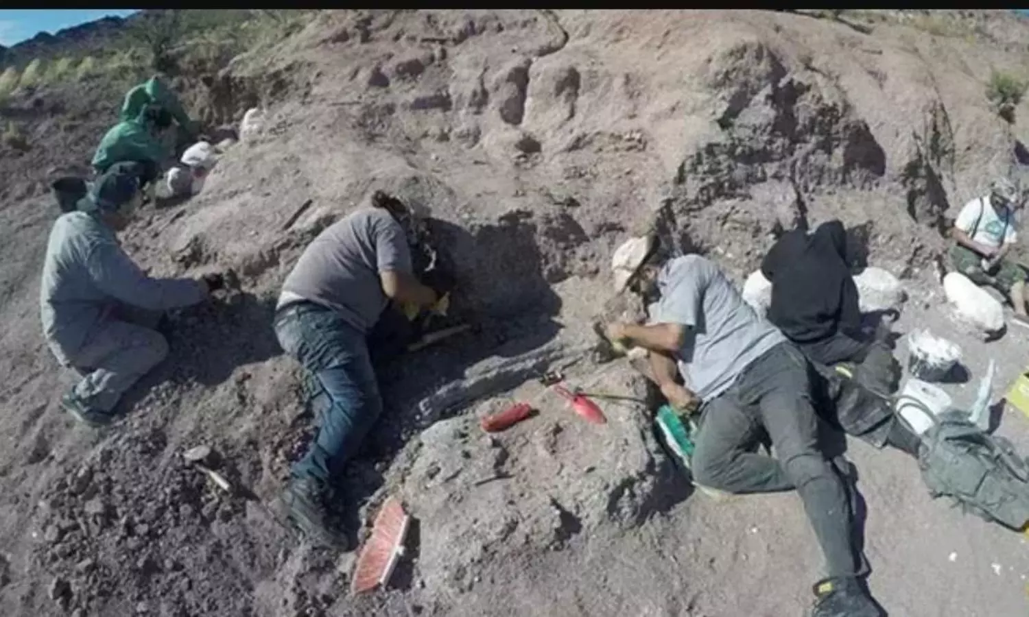 14 billion year-old dinosaur fossils unearthed in Argentina