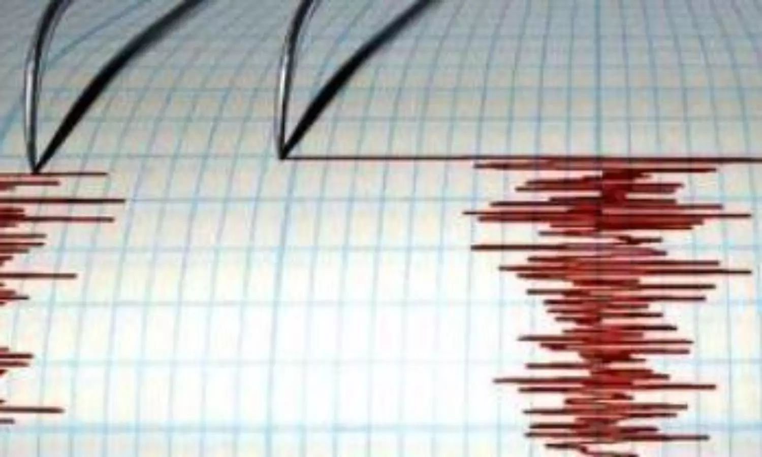 7.1 mangitude earthquake jolts north-east of New Zealand