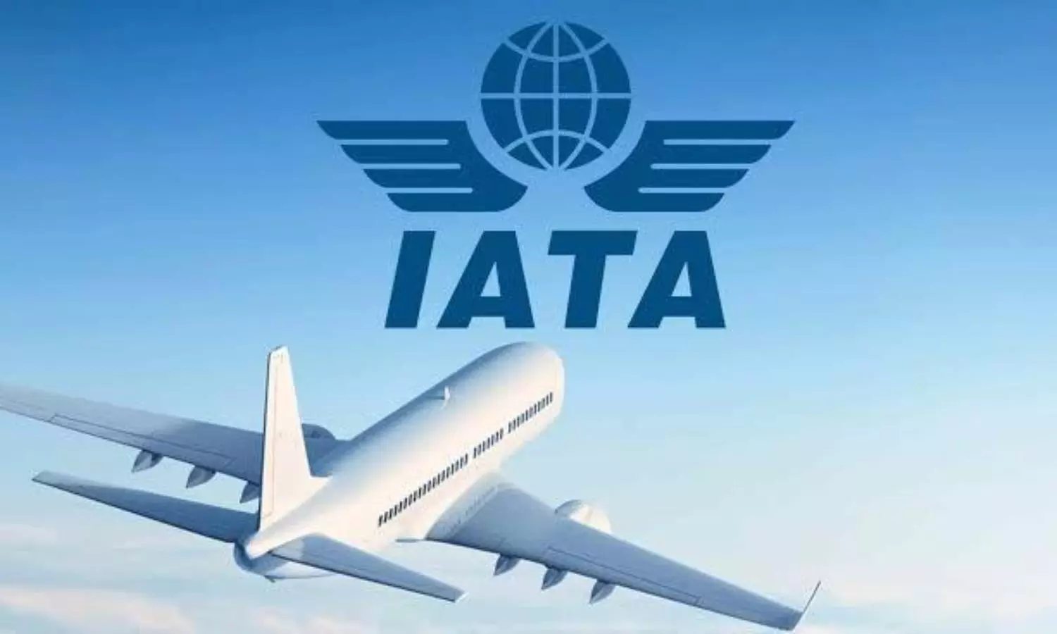 IATA in talks with Indian government to issue international travellers pass