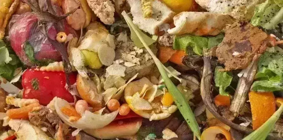 17 per cent of food wasted at consumer level – UN report